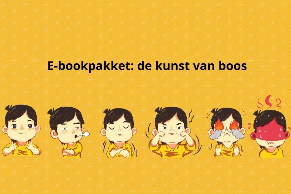 Aanbieding: E-bookpakket: de kunst van boos zijn - Jeugd- en